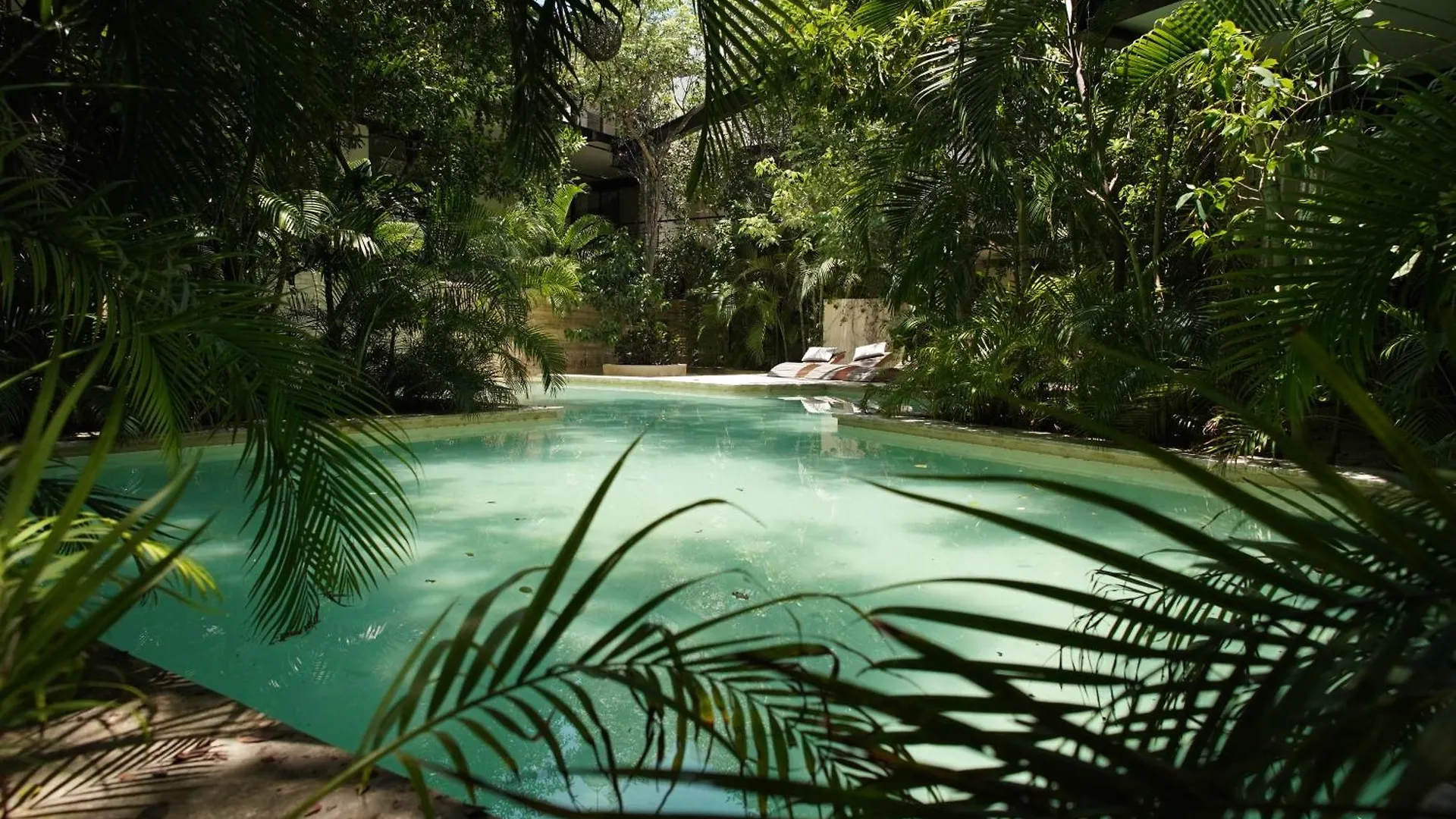 Tulum Thoth Departamento En La Veleta Appartement Mexico