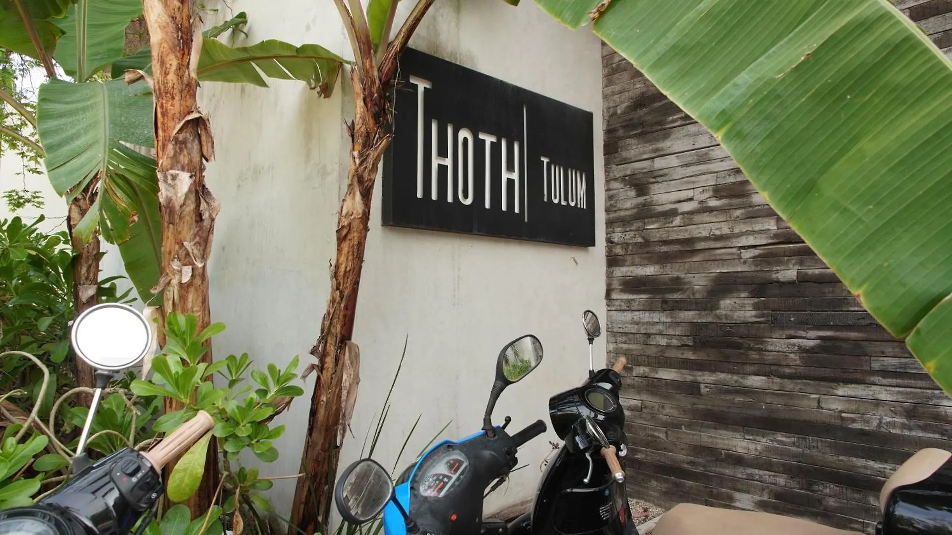 Tulum Thoth Departamento En La Veleta Appartement