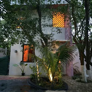 Casa Rosse Tulum Pueblo